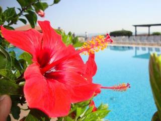 קרוטונה Casarossa Hotel Residence & Beauty מראה חיצוני תמונה
